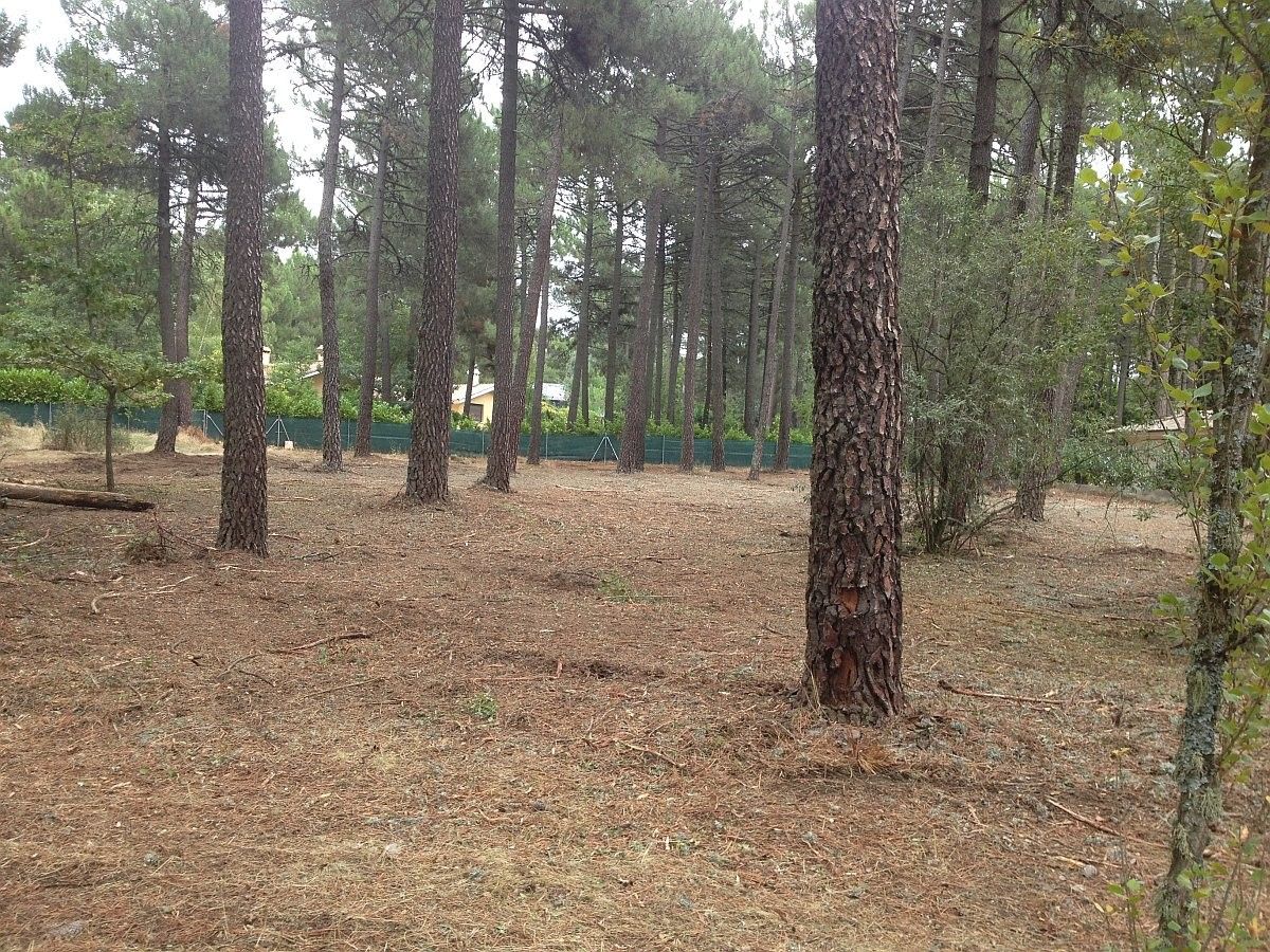 fotos movil iphon 1880